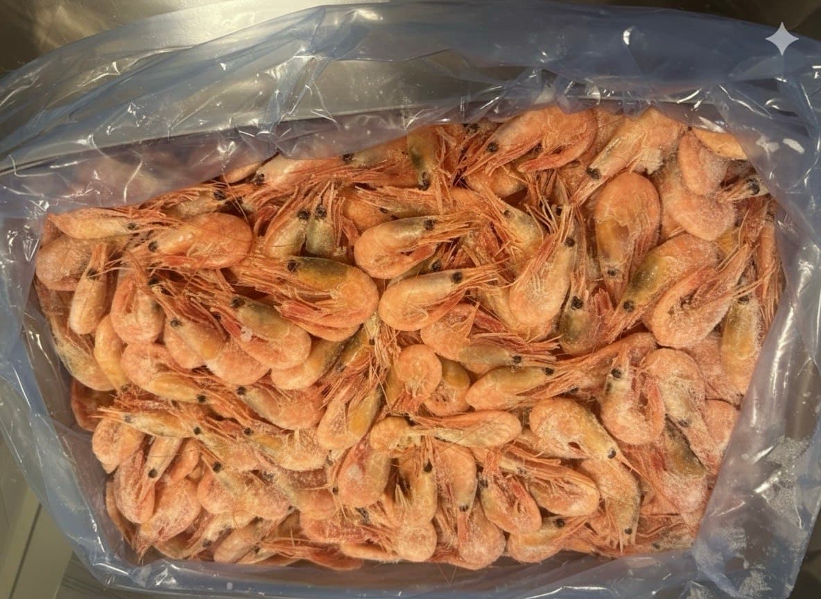 FROZEN COOCKED SHRIMP 90/120